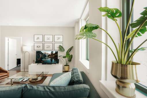 A living room with a grey couch and a plant on the side table.