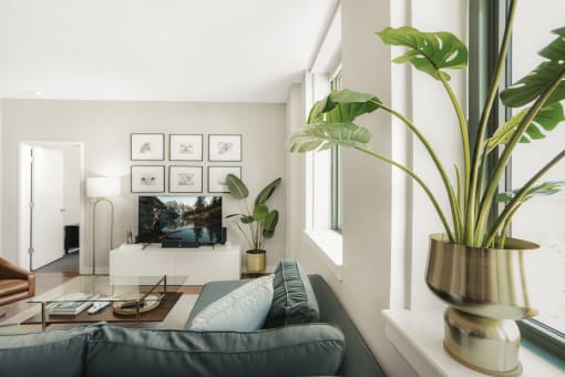 a living room with a couch and a coffee table