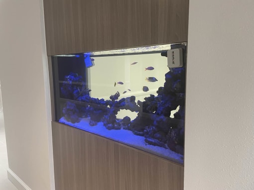 Fish Tank at Hampton Apartments in Clearwater, FL 33759