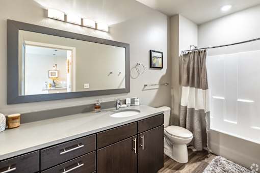 a bathroom with a large mirror and a toilet and a shower at 1400 Russell Apartments, Saint Louis