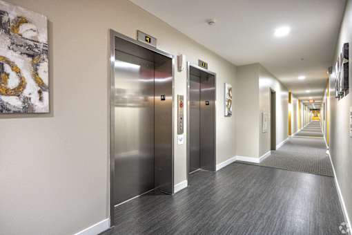 a row of elevators in a hallway in a building at 1400 Russell Apartments, Missouri, 63104