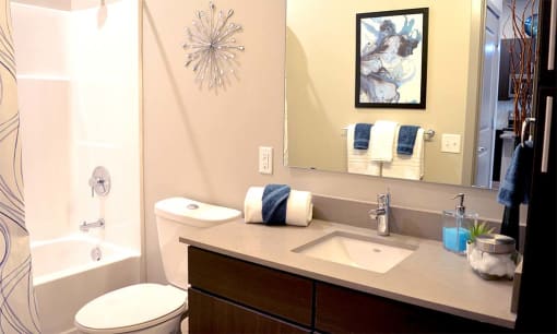 Bath at The Villages of Twin Oaks, Twin Oaks, MO, 63021