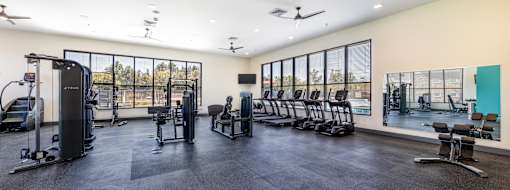 A spacious gym with a variety of equipment and a view of trees outside the windows.