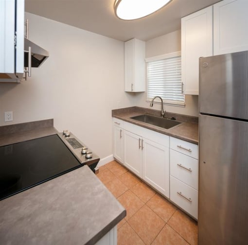 Kitchen View 1