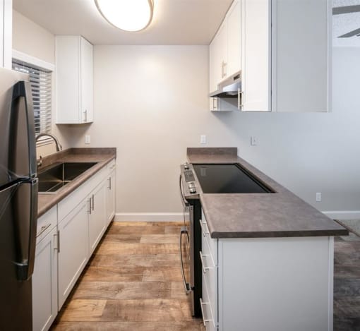 Kitchen View 2