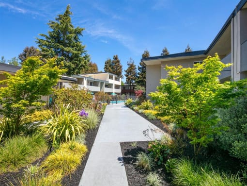 Beautiful Garden Walkways