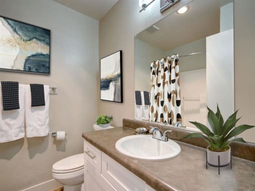 Full Bath View