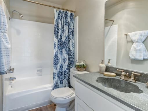 Full Bath View