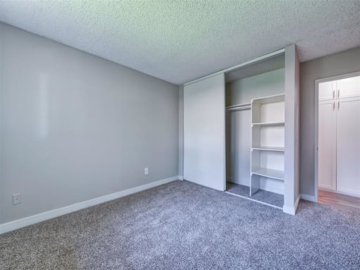 Bedroom with Closet Organizer