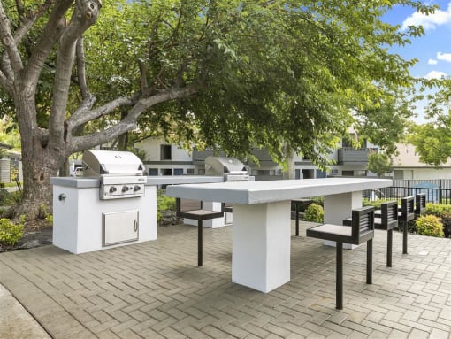 Barbecue Area 2