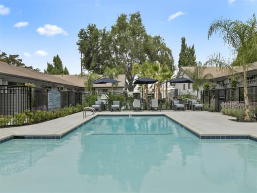 Resort Pool View