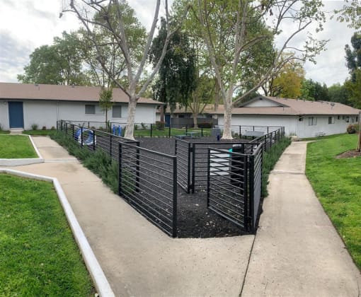 Doggie Park View