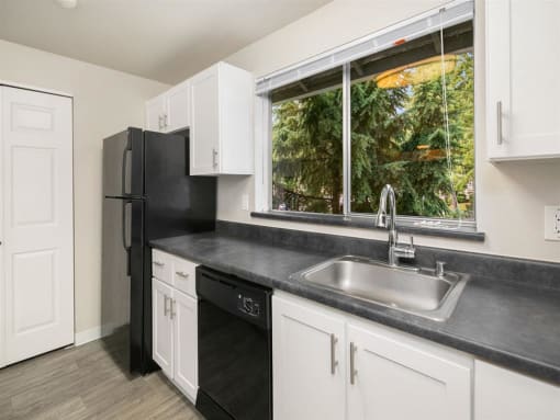 Kitchen View 2