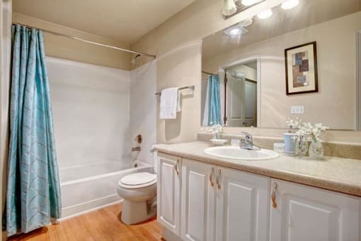 Full Bath View