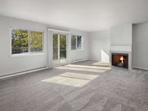 Living & Patio Area