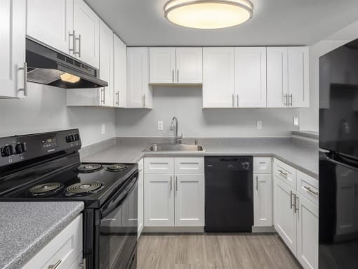 Kitchen View 1