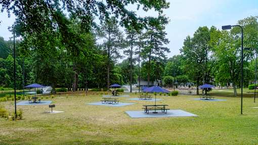 A large grassy area with picnic tables and umbrellas
