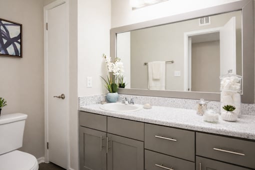 A bathroom with a white toilet, a sink, and a mirror.