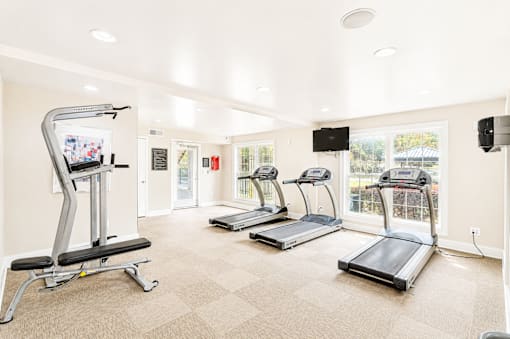 Sandy Springs, GA, Apartments Near Perimeter Center - Veridian at Sandy Springs - Fitness Center With Three Treadmills, Weight Machine, and Large Windows Providing Natural Light.