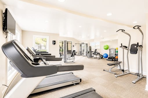A well-equipped gym with treadmills, exercise balls, and weight machines.
