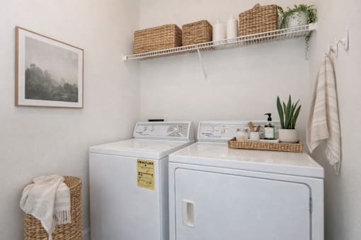 A laundry room with a washer and dryer, a basket, and a plant.
