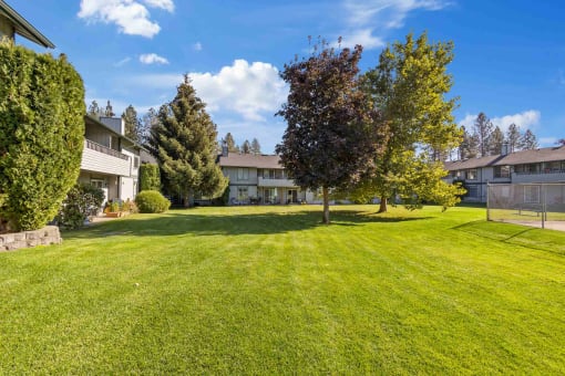 a large yard with houses in the background and trees