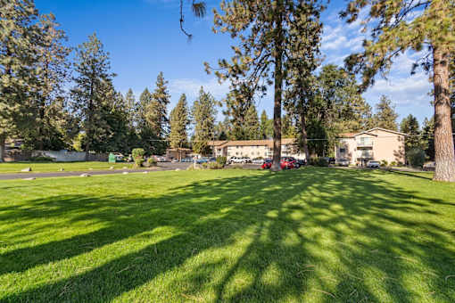 A sunny day in a park with trees and a building in the background.