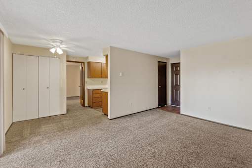 A room with a carpeted floor and a brown door.