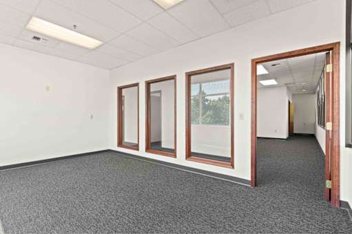 A room with a grey carpet and three windows.