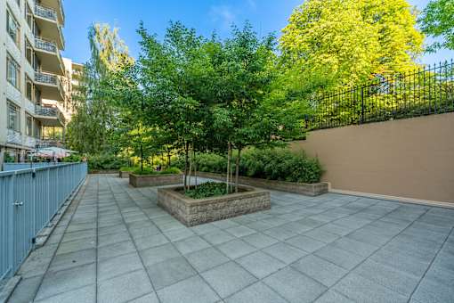 A patio with a concrete floor and a tree in a planter box.