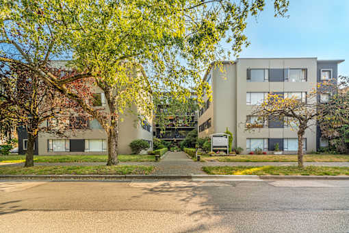 A tree with yellow leaves is in front of a building.