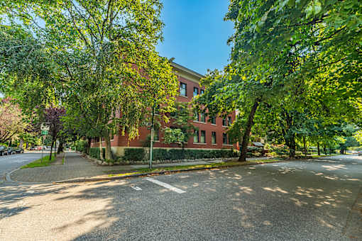 A tree-lined street with a red brick building on the corner.