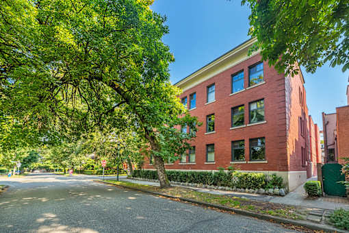 A tree with green leaves is in front of a red brick building.