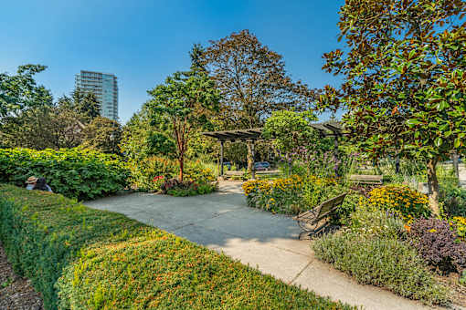 A park with a bench and a tree.