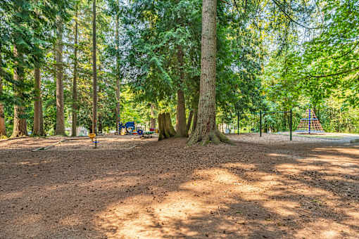 A playground in a forest with a swing set and a slide.