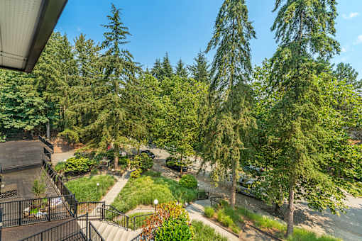 A view from a balcony overlooking a lush green garden.