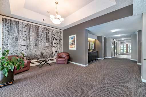 A room with a grey carpet and a wall with a tree pattern.