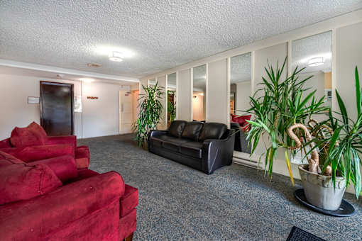 A living room with a red couch and a black couch.