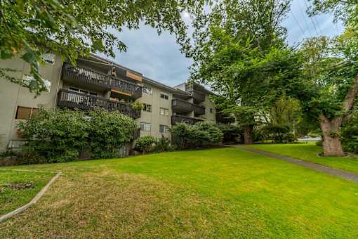 A grassy area in front of a building with a tree and a path.