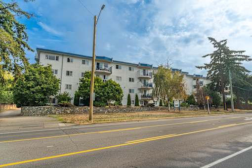 A street view of a residential area with apartment buildings and trees.