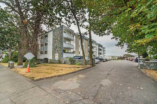 A tree-lined street with apartment buildings on either side.