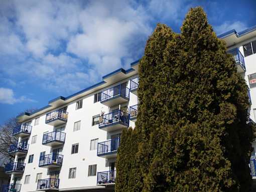a large tree in front of an apartment building