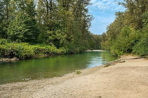 A river flows through a forested area with a sandy bank on the right.