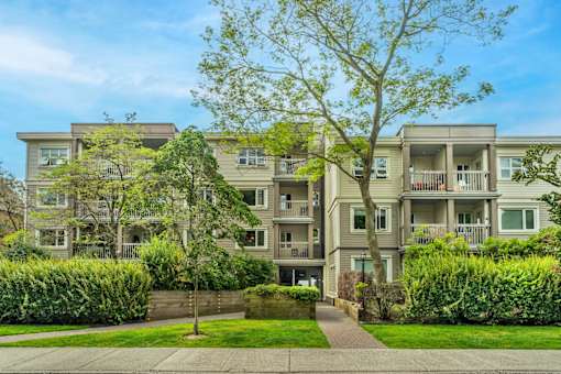 Apartment building with a tree in front of it.