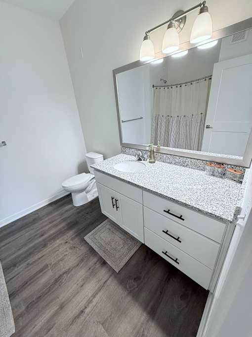 A bathroom with a white toilet and a counter with a mirror above it.