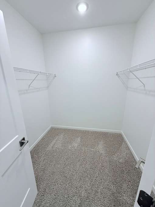 A white closet with a carpeted floor and two shelves.