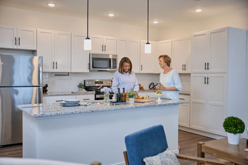 Two women are standing in a kitchen talking.