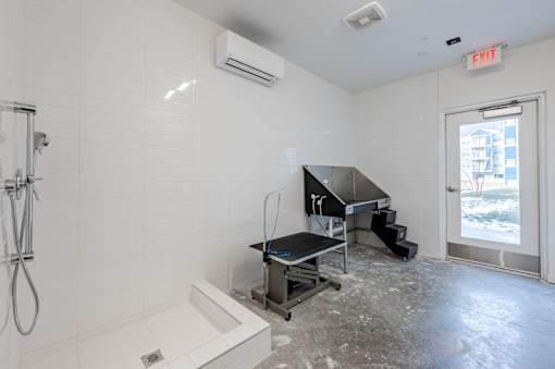 A bathroom with a shower, sink, and a window.