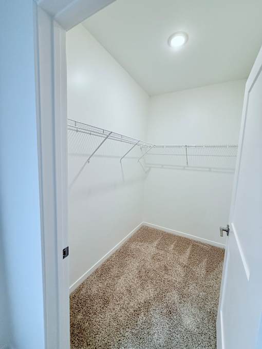 A white closet with a carpeted floor and a light on the ceiling.