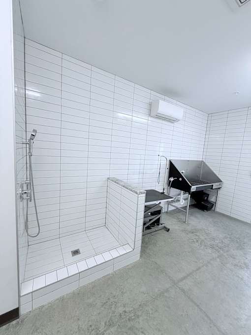 A bathroom with a walk-in shower and a table.